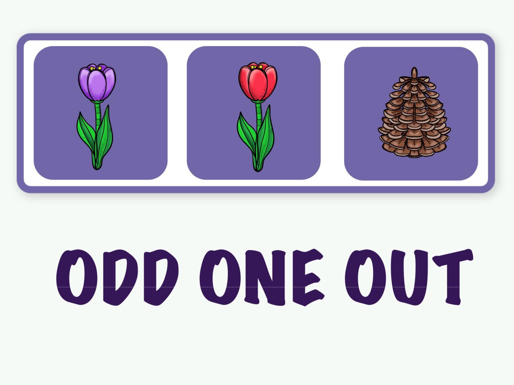 Odd One Out